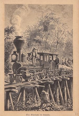 Eine Eisenbahn im Urwalde, schöner Holzstich um 1880, Blattgröße: 22,5 x 5,5 cm, reine Bildgröße:...