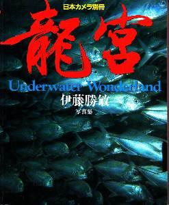 Katsutoshi Ito - Underwater Wonderland.