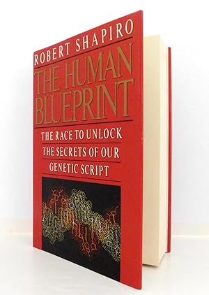 Seller image for The Human Blueprint:The Race To Unlock The Secrets Of Our Genetic Script for sale by The Parnassus BookShop