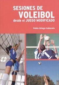 Imagen del vendedor de Sesiones de voleibol desde el juego modificado a la venta por Imosver