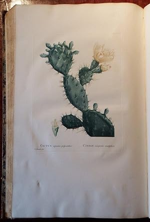Image du vendeur pour Plantarum succulentarum historia, ou Histoire naturelle des plantes grasses. mis en vente par Arader Galleries - AraderNYC