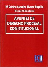 Imagen del vendedor de Apuntes de derecho procesal constitucional a la venta por Imosver