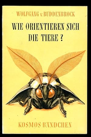 Seller image for Wie orientieren sich die Tiere? Gesellschaft der Naturfreunde. Kosmos-Bndchen 212. for sale by Antiquariat Liberarius - Frank Wechsler