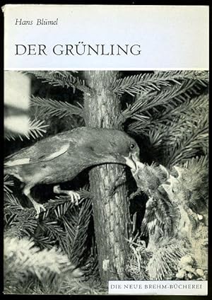 Bild des Verkufers fr Der Grnling. Carduelis chloris. Die neue Brehm-Bcherei 490. zum Verkauf von Antiquariat Liberarius - Frank Wechsler
