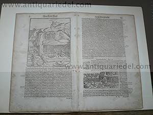 Vom Bergbau, anno 1590, S. Münster, 6 Seiten aus der Cosmographia