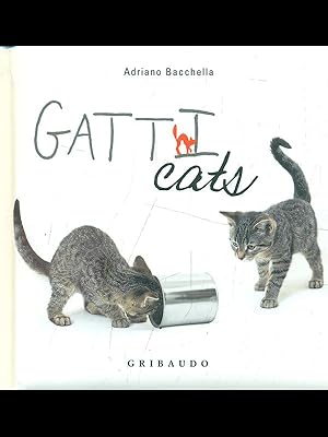 Gatti cats