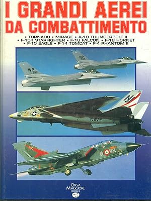 I grandi aerei da combattimento