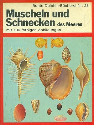 Muscheln und schnecken des meeres