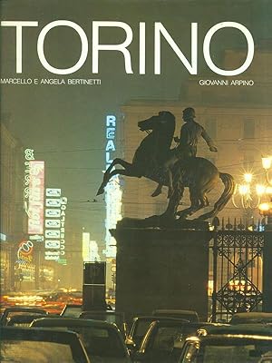 Bild des Verkufers fr Torino zum Verkauf von Librodifaccia