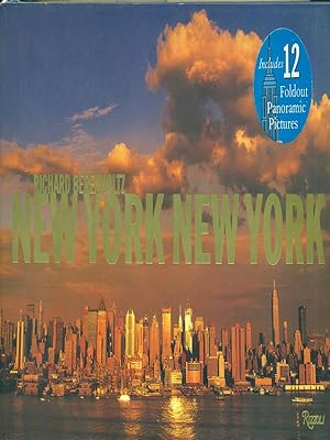 Bild des Verkufers fr New York New York zum Verkauf von Librodifaccia