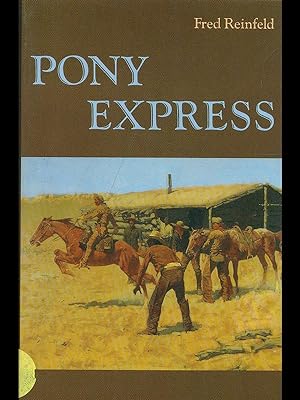 Immagine del venditore per Pony express venduto da Librodifaccia
