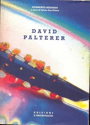 Imagen del vendedor de David Palterer. Ediz. italiana e inglese a la venta por Librodifaccia