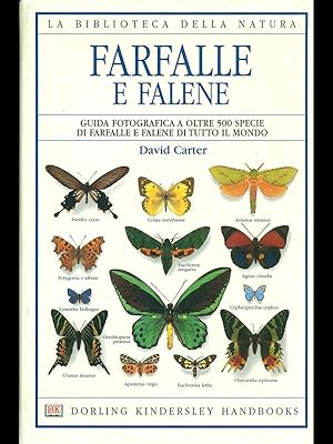 Farfalle e falene