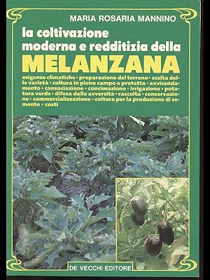 La coltivazione moderna e redditizia della melanzana