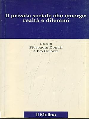 Imagen del vendedor de Il privato sociale che emerge: realta' e dilemmi a la venta por Librodifaccia