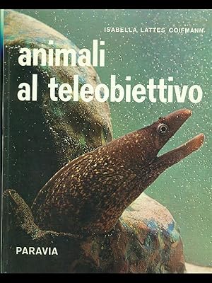 Animali al teleobiettivo