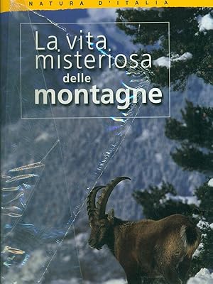 La vita misteriosa delle montagne