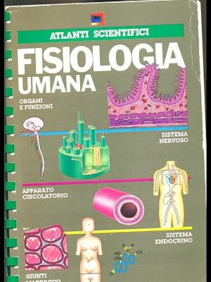 Bild des Verkufers fr Fisiologia umana zum Verkauf von Librodifaccia