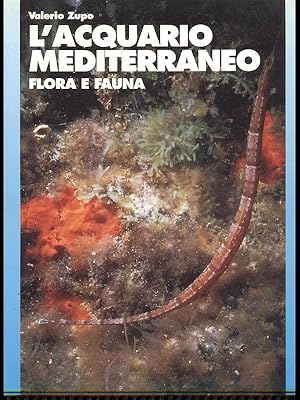 L'acquario mediterraneo Flora e fauna