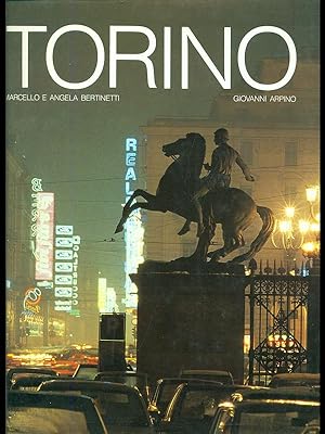Bild des Verkufers fr Torino zum Verkauf von Librodifaccia