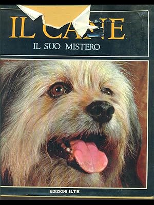 Il cane, il suo mistero