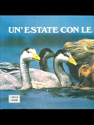 Bild des Verkufers fr Un'estate con le oche zum Verkauf von Librodifaccia