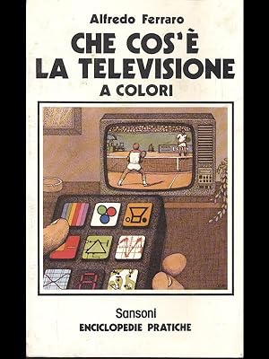 Bild des Verkufers fr Che cos'e' la televisione a colori zum Verkauf von Librodifaccia