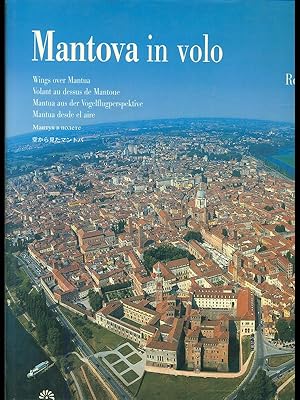 Image du vendeur pour Mantova in volo mis en vente par Librodifaccia