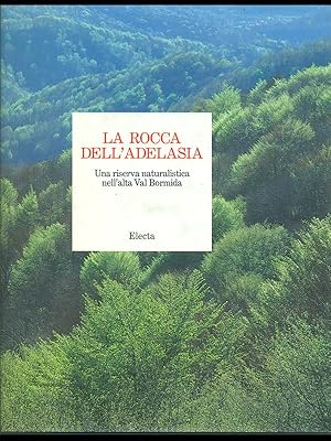 Bild des Verkufers fr La rocca dell'Adelasia zum Verkauf von Librodifaccia