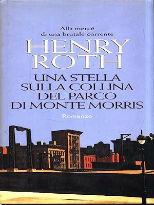 Immagine del venditore per Una stella sulla collina del parco di Monte Morris venduto da Librodifaccia