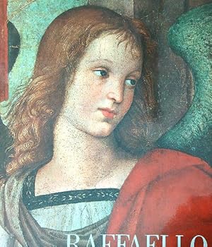 Bild des Verkufers fr Raffaello dipinti su tavola. zum Verkauf von Librodifaccia