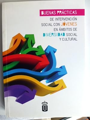 Bild des Verkufers fr Buenas prcticas de intervencin social con jvenes en mbitos de diversidad social y cultural zum Verkauf von Herr Klaus Dieter Boettcher