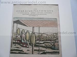 Bild des Verkufers fr Java, de Bry Th., anno 1612, copperengraving zum Verkauf von Hammelburger Antiquariat