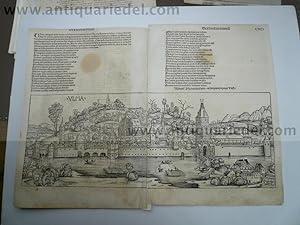 Ulm, anno 1493, Panorama, Schedelsche Weltchronik