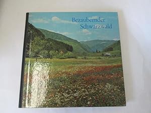 Seller image for Bezaubernder Schwarzwald for sale by Goldstone Rare Books