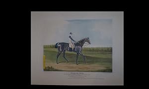 Filho da Puta. the winner of the Great St. Leger at Doncaster 1815. By Haphazard, out of Mrs. Bar...