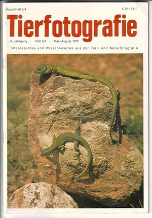 Seller image for Tierfotografie - 6. Jahrgang, Heft 3/4, Mai-August 1975, Doppelheft 3/4 - Interessantes und Wissenswertes aus der Tier- und Naturfotografie. Herausgeber: Fritz Plking GDT. Zeitschrift fr Fotografen und Filmer. Naturfreunde, Jger, Biologen, Verhaltensforscher und Unterwasserfotografen. for sale by GAENSAN Versandantiquariat