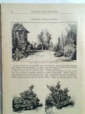 Seller image for Village Lawn - Planting for sale by Legacy Books II