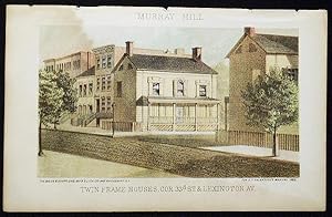 Twin Frame Houses, cor. 33d St. & Lexington Av. [chromolithograph from Valentine's Manual of the ...