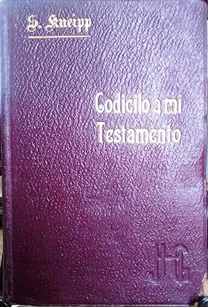 Imagen del vendedor de Codicilo a mi Testamento para sanos y enfermos. Traducido por Manuel M. Angeln a la venta por Librera Monte Sarmiento