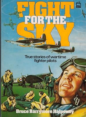 Bild des Verkufers fr Fight for the Sky zum Verkauf von Barter Books Ltd