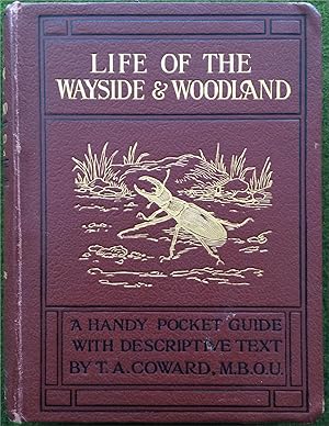 Life of the Wayside and Woodland