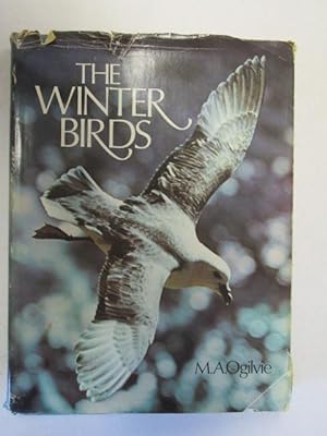 Image du vendeur pour Winter Birds mis en vente par Goldstone Rare Books