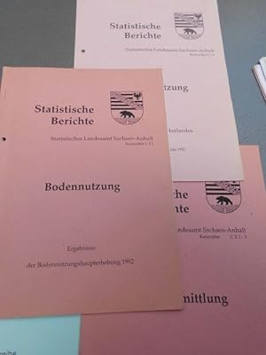 Überblick über die Sozialproduktsberechnungen des Statistischen Bundesamtes - [Schriftenreihe aus...