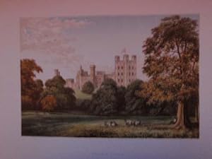 An Original Antique Woodblock Colour Print Illustrating Penrhyn Castle in Carnarvonshire from The...