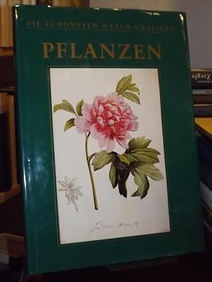 Image du vendeur pour Pflanzen. Die schnsten Natur-Grafiken. mis en vente par Altstadt-Antiquariat Nowicki-Hecht UG