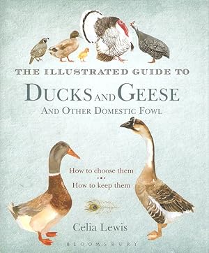 Seller image for THE ILLUSTRATED GUIDE TO DUCKS AND GEESE AND OTHER DOMESTIC FOWL: HOW TO CHOOSE THEM - HOW TO KEEP THEM. By Celia Lewis. for sale by Coch-y-Bonddu Books Ltd