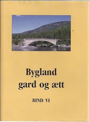 Bygland gard og aett (Bind VI)