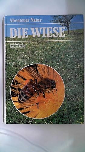 Bild des Verkufers fr Abenteuer Natur. Die Wiese. zum Verkauf von Antiquariat Maiwald