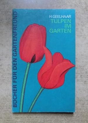 Tulpen im Garten.